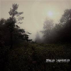 Like Desolate Like True : The Demo Like Desolate Like True : The Demo